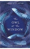 THE OWL AT THE WINDOW