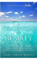 A Perception Of Reality