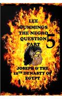 The Negro Question Part 5 Joseph and the 12th dynasty of Egypt