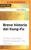 Breve Historia del Kung-Fu