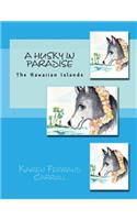 Husky In Paradise