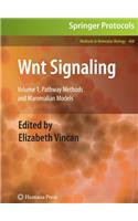 Wnt Signaling