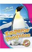Emperor Penguins