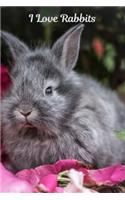 I Love Rabbits