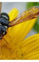 Wasp Notebook