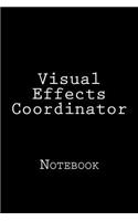 Visual Effects Coordinator