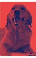 Notebook: Golden Retriever Dog Family Pet Notepad (Red)