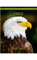 Eagle: Beautiful Pictures & Interesting Facts Children Book about Eagle
