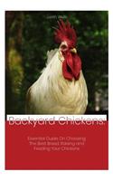 Backyard Chickens