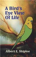Bird's Eye View of Life