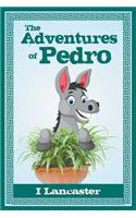 The Adventures of Pedro