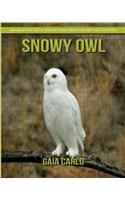 Snowy Owl