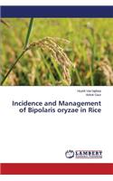 Incidence and Management of Bipolaris Oryzae in Rice