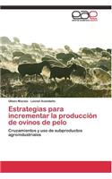 Estrategias para incrementar la producción de ovinos de pelo