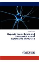 Hypoxia on rat brain and therapeutic use of superoxide dismutase