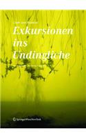 Code Und Material: Exkursionen Ins Undingliche