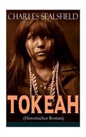 Tokeah (Historischer Roman): Wildwestroman