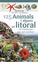 125 animals i algues del litoral de Catalunya: que cal coneixer