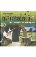 Mi Pequeno Animalario: Los Animales de Compania