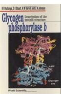 Glycogen Phosphorylase B: Description of the Protein Structure