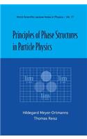 Principles of Phase Structures in Particle Physics