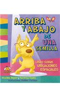 Arriba y Abajo