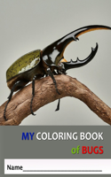 My Coloring Book of Bugs