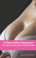 A Chest Full of Surprises: Five super steamy male to female stories