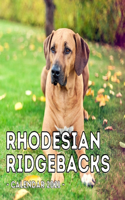 Rhodesian Ridgebacks Calendar 2021