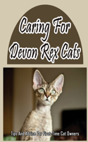 Caring For Devon Rex Cats: Tips And Advice For First-Time Cat Owners: Things You Didn'T Know About The Devon Rex