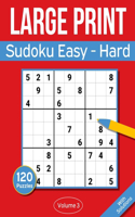 Sudoku Large Print Easy to Hard