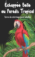 Échappée belle au paradis tropical - Livre de coloriage pour adultes