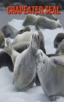 Crapeater Seal: Amazing Facts about Crapeater Seal