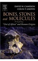 Bones, Stones and Molecules