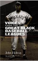Voices from the Great Black Baseball Leagues