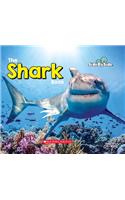 Shark Book (Side by Side)