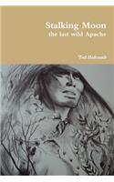 Stalking Moon the Last Wild Apache