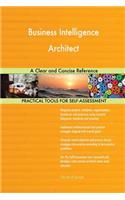 Business Intelligence Architect A Clear and Concise Reference