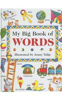 My Big Book of Words