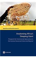 Awakening Africa's Sleeping Giant
