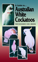 Guide to Australian White Cockatoos