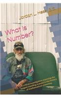 What is Number?