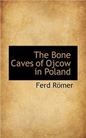 The Bone Caves of Ojcow in Poland