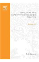 Structure and Reactivity of Modified Zeolites