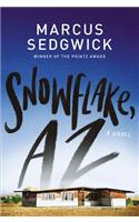 Snowflake, AZ