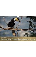Hornbills from Southeastern Asia 2017