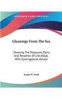 Gleanings From The Sea