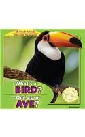 What's a Bird? / ¿Qué Es Un Ave?