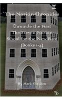 Steven Noricin School for the New Race