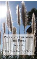 Walking Through The Bible